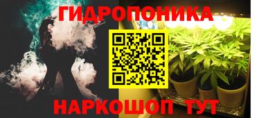 mix Новодвинск