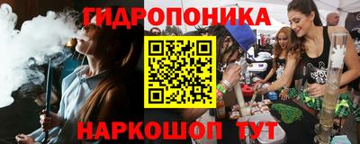 mix Новодвинск